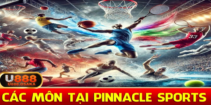 Các môn thể thao tại sảnh thể thao Pinnacle