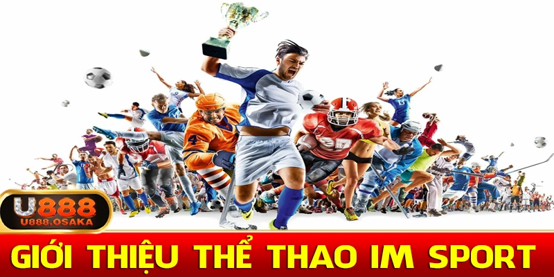 Giời thiệu về thể thao im sport