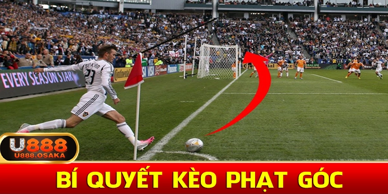 Kinh nghiệm đánh kèo phạt góc hiệu quả nhất